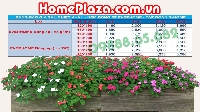 BẢNG BÁO GIÁ SAU CHIẾT KHẤU VÀ HƯỞNG KHUYẾN MẠI, HOMEPLAZA HÂN HẠNH MANG ĐẾN C